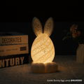 Easter Bunny Egg Lamp for LED Lamp Kit