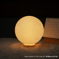 Moon Globe for LED Lamp Kit